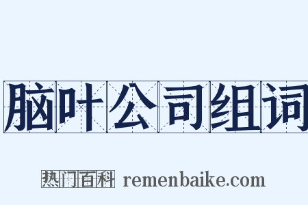 脑叶公司组词是什么意思的图片